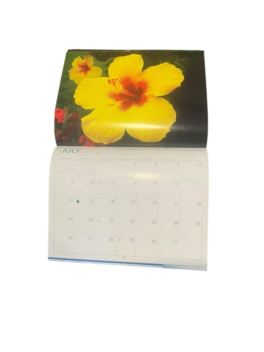 Flowers of Hawaii Calendar 2026 Plumeria Hibiscus Silver Sword Longs Drugs